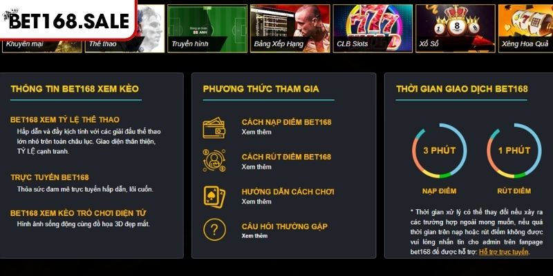 Lĩnh vực hoạt động