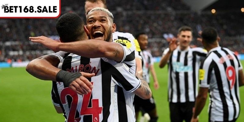 Soi Kèo Newcastle Vs Benfica (02:00 22/10, Cúp C1 Châu Âu UEFA) 1 Phong độ Newcastle